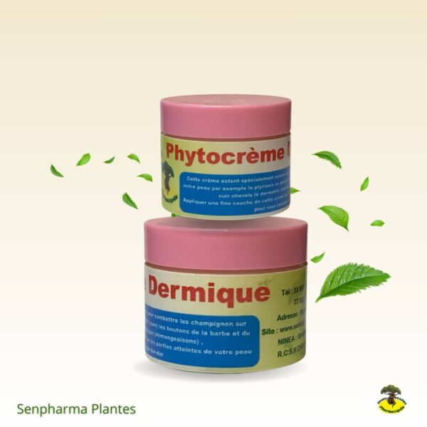 Phytocrème Dermique