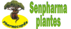 Senpharmaplantes