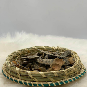 Graines de Nep-nep (Acacia adansonii)