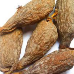 Racines de Belekodo (Aframomum melegueta)
