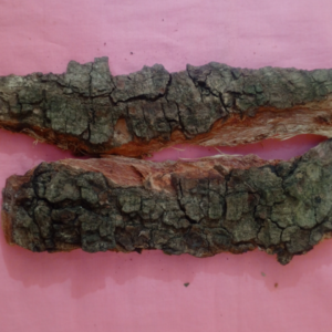 Écorces de Néré (Parkia biglobosa – Huul)