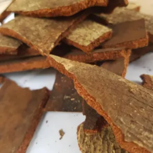 Écorces de Khaya (Khaya senegalensis – Xaï)