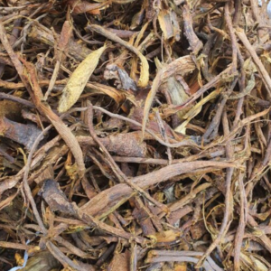 Racines de Nadok (Nauclea latifolia)