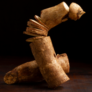 Racines de Neem (Azadirachta indica)