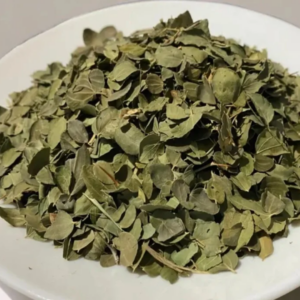 Feuilles de Jujubier (Zizyphus mauritiana – Sedem)