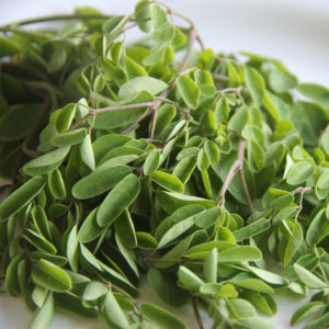 Feuilles de Moringa (Moringa oleifera – Nebeday)