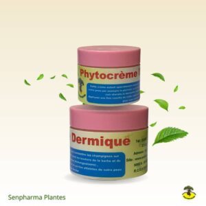 Phytocrème Dermique