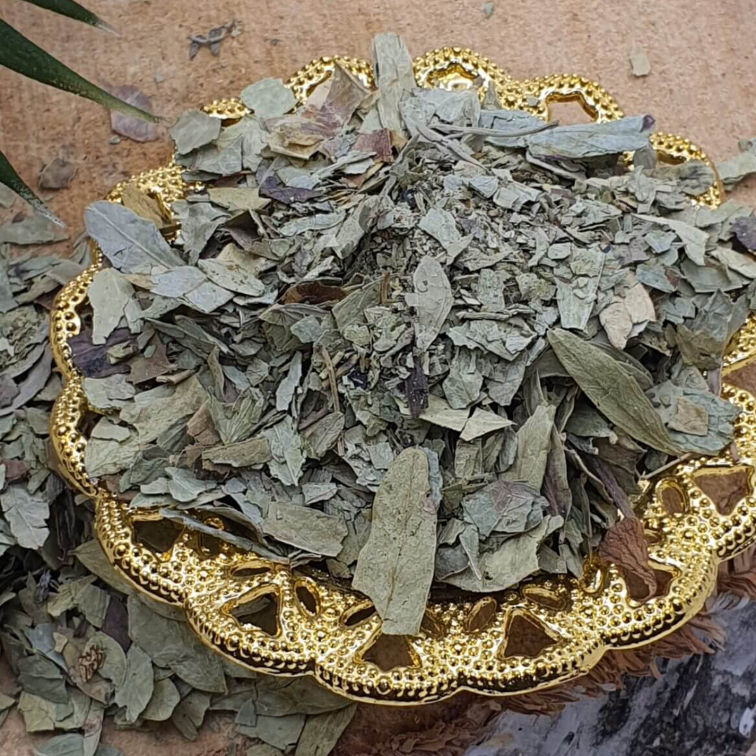 đź›’ Feuilles de Nep-nep (Acacia adansonii)